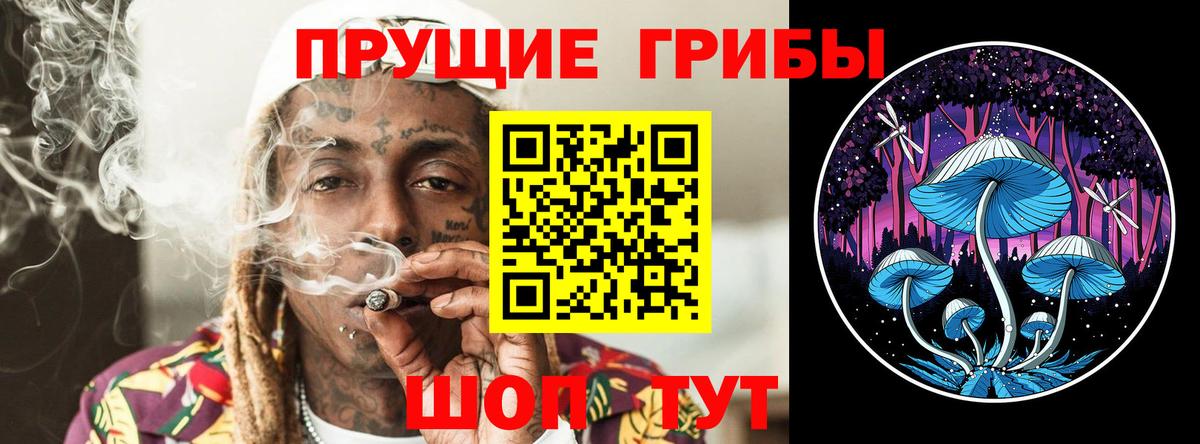 Шахты  Псилоцибиновые грибы Magic Shrooms  Вход с VPN 