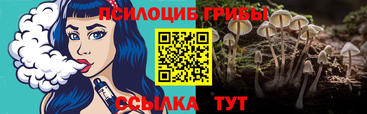 Галлюциногенные грибы прущие грибы Шахты